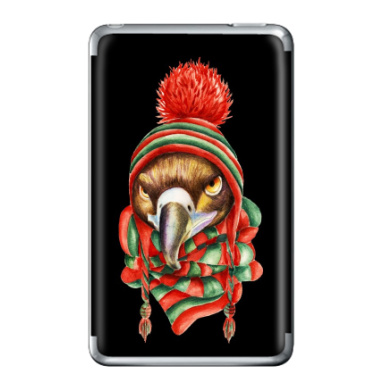 Игривый орёл в зимней шапке и шарфе - Виниловые наклейки на iPod Classic, страница 18