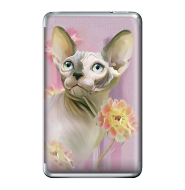 Цифровая картина Сфинкс с нежными цветами - Виниловые наклейки на iPod Classic, страница 15