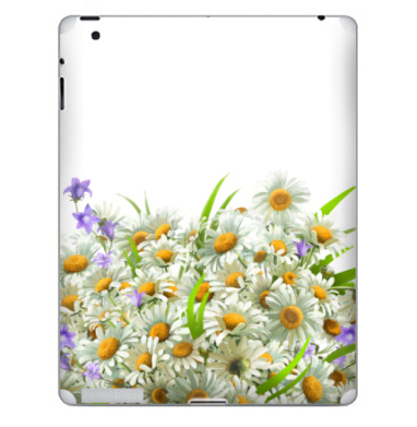 Букет свежих белых ромашек с сине-фиолетовыми цветами - Наклейки на iPad, страница 28