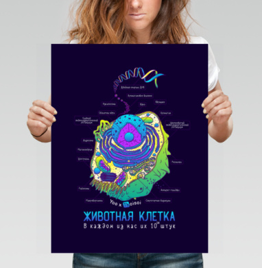 Животная клетка в цвете - Купить постеры с принтом 