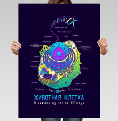 Животная клетка в цвете - Купить постеры с принтом 