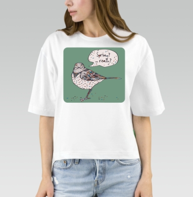 Spring bird / Весенняя птичка, Футболка женская оверсайз Mido