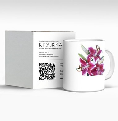 Яркие розовые лилии с зелёными листьями на белом фоне - Svetlana Zinovyeva