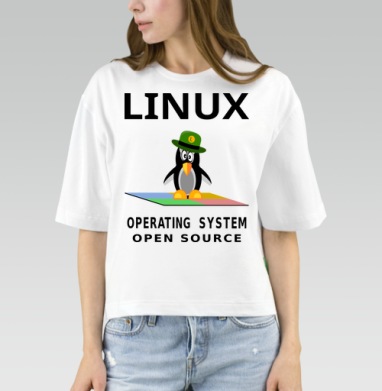 Пингвин в зеленой шляпе на фоне Linux операционная система open source, Футболка женская оверсайз Mido