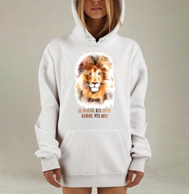 Важно, кто лев, тот прав!, Hoodie Mjhigh Dig, оверсайз, утепленная