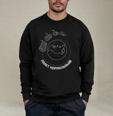 Ироничная схема «ПОЛЕТ НОРМАЛЬНЫЙ!» с водкой - Свитшот мужской черный петля/начес, страница 13