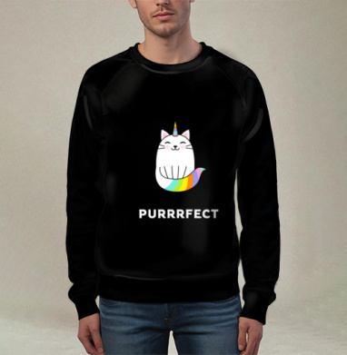 Милый единорог-кот с радужным рожком PURRRFECT, Свитшот мужской 3D
