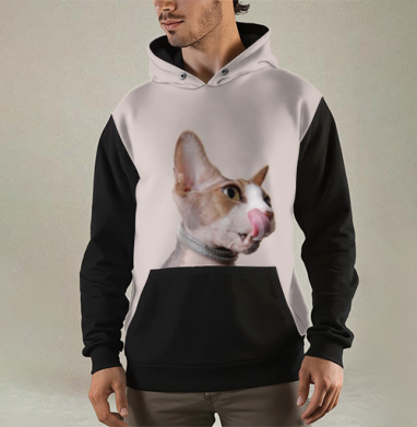 Кот-сексапил, Толстовка мужская Regular 3D