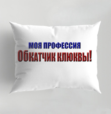 Моя профессия обкатчик клюквы гордость и ирония, Подушка декоративная 50х70 см