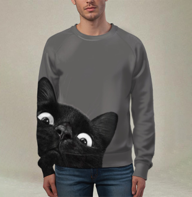 Удивленный кот, Свитшот мужской 3D