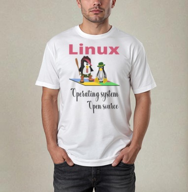 Два Пингвина Linux Операционная Система Свободный Исходный Код, Футболка / Мужчинам / Pure / Белая / C принтом
