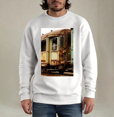 artep_ru___train, Свитшот мужской белый