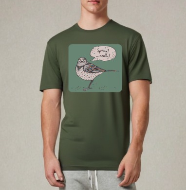 Spring bird / Весенняя птичка, Футболка мужская REGULAR темный хаки