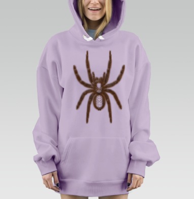 Коричневый паук птицеед в художественной форме на сером фоне, Hoodie Mjhigh Dig Mel, Fiolet, утепленная