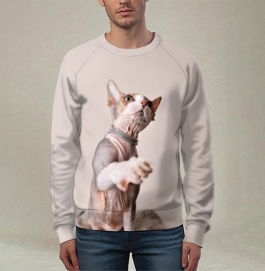 Кот-рэпер, Свитшот мужской 3D